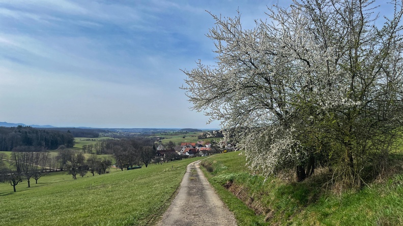 25-03-21 12-48-59 2489.jpeg